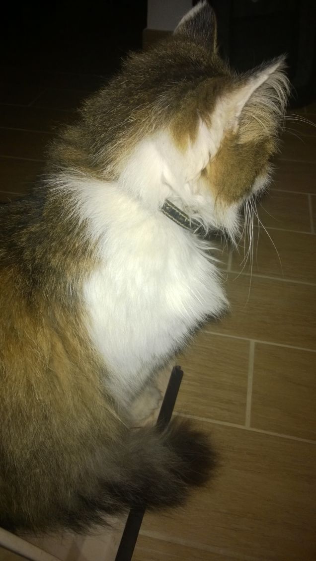 Con una visione cosi il giorno comincia bene.