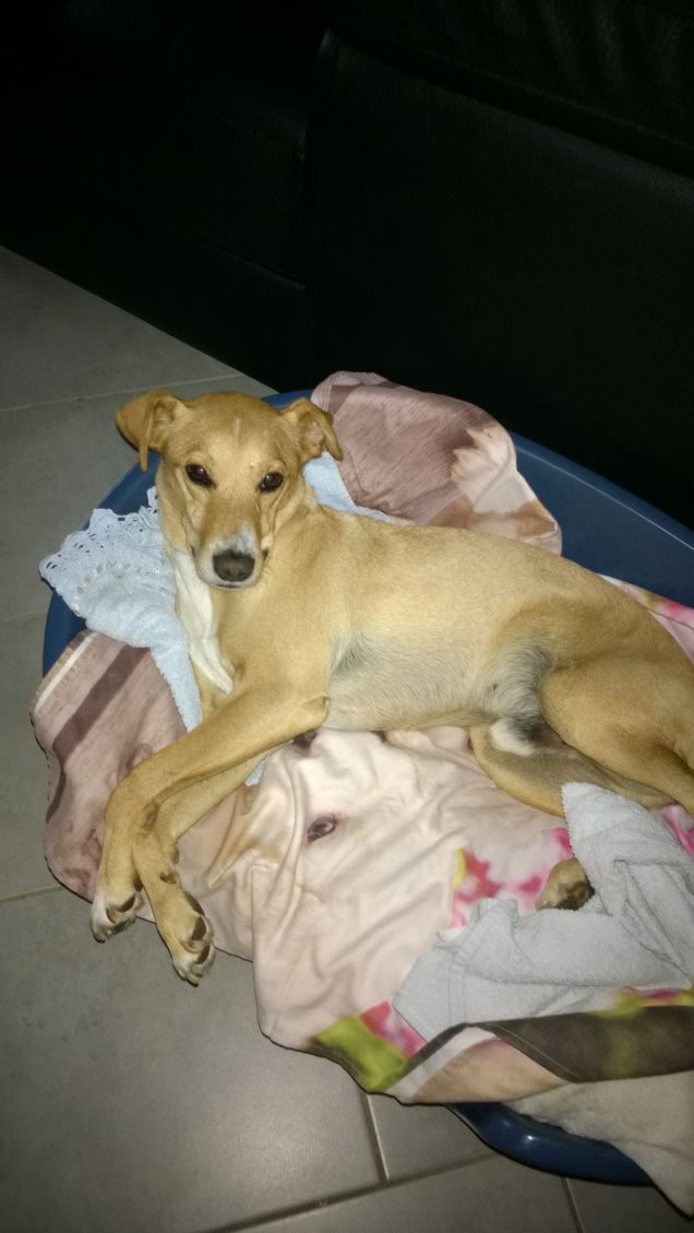 Lucky fuori c'è tutto un mondo, andiamo.