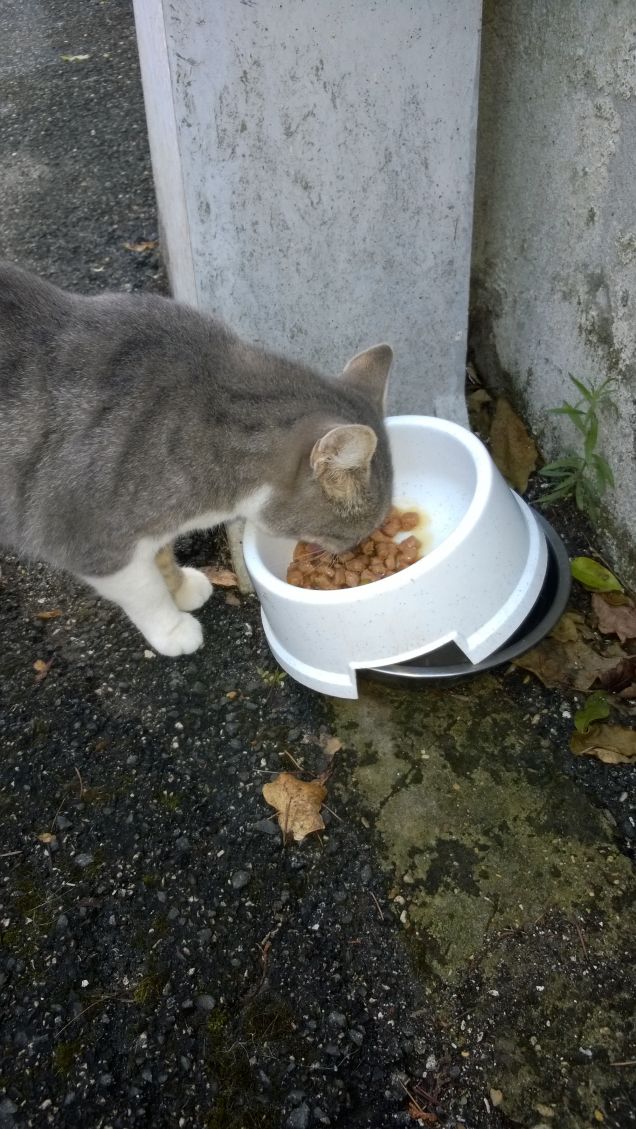 A nessuno mai dovrebbe mancare del buon cibo.