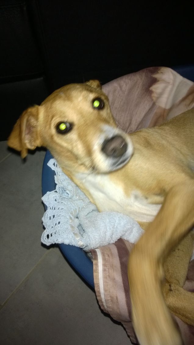 Finalmente la tranquillità.