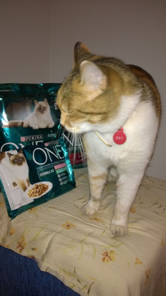 Il cibo preferito di Bry