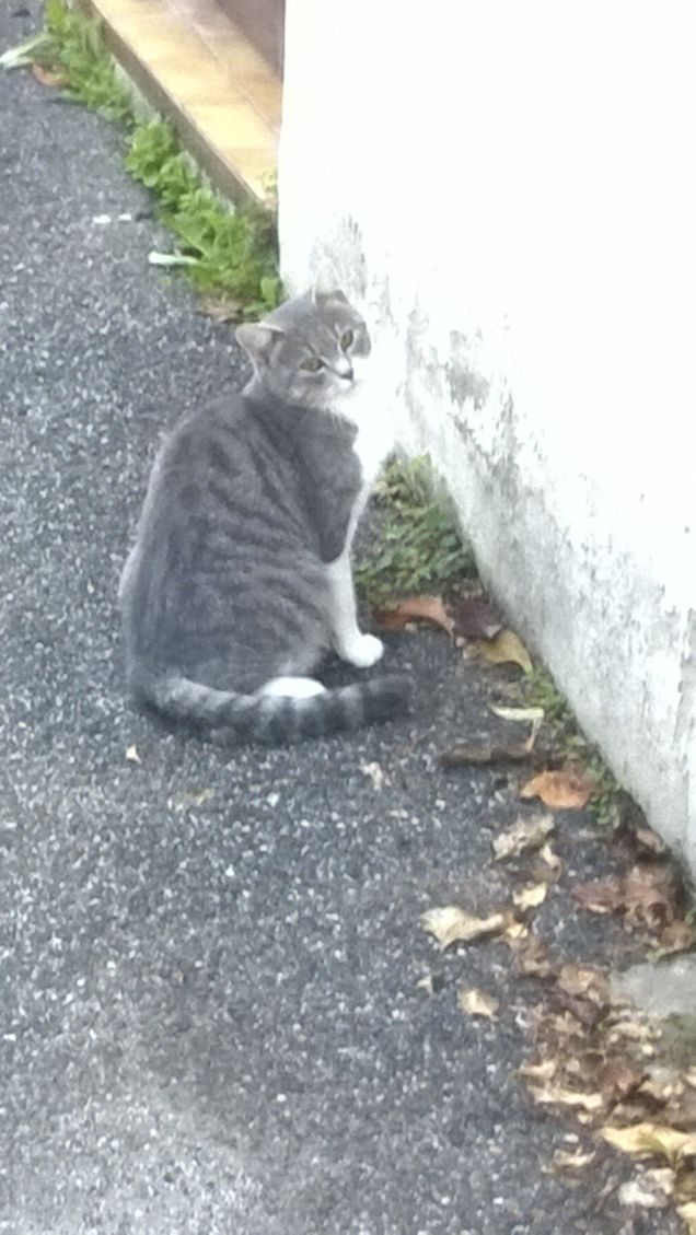 Lei è una furbacchiona