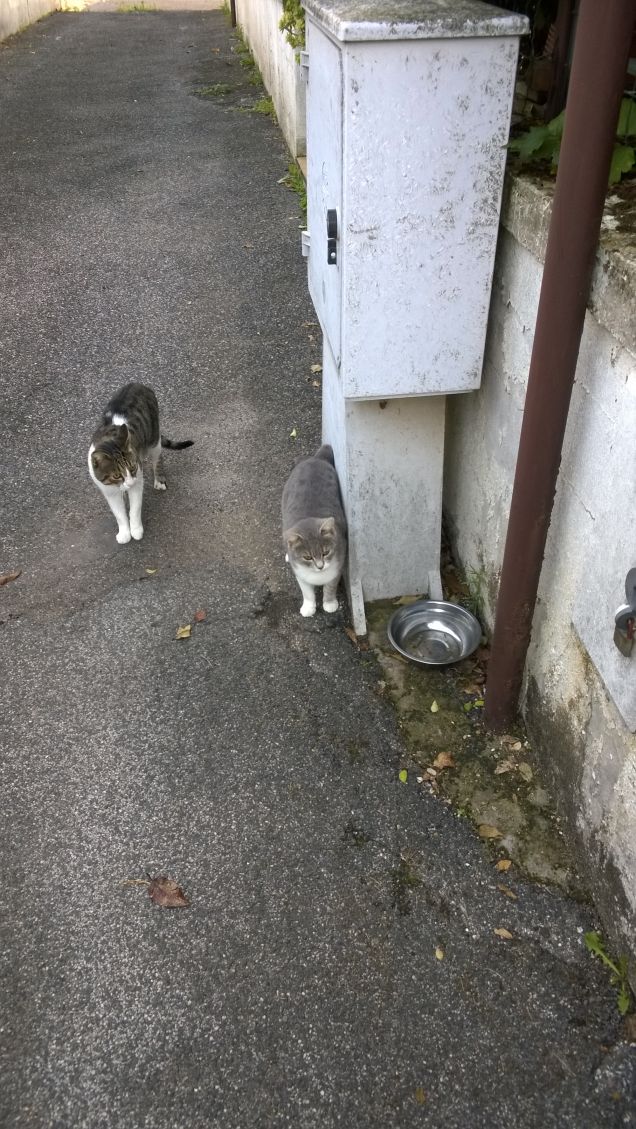 Teneramente insieme.