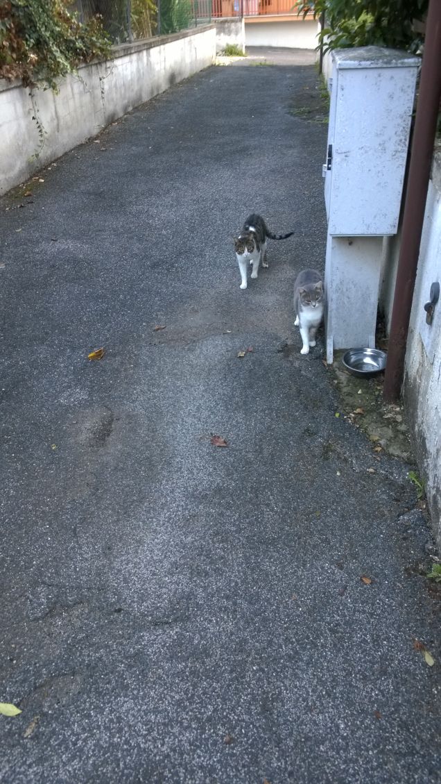 La famiglia si allarga.