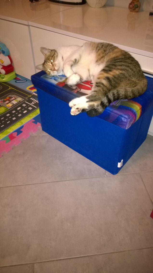 E dopo una nottata di caccia riposo