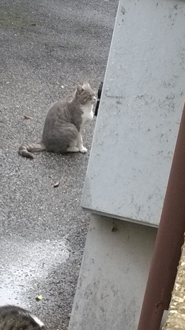 Povera piccola sotto l'acqua.