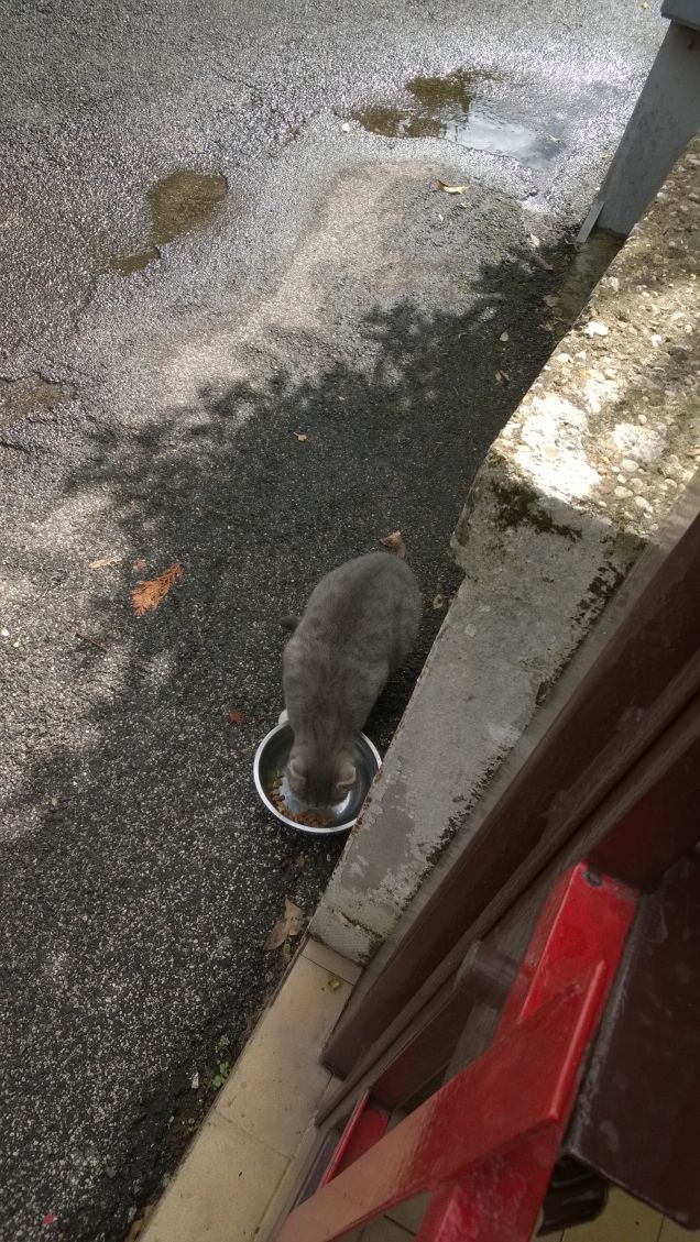 Fortuna che in questo momento non piove cosi può mangiare