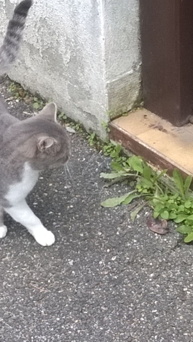 Non posso più fare a meno di lei.