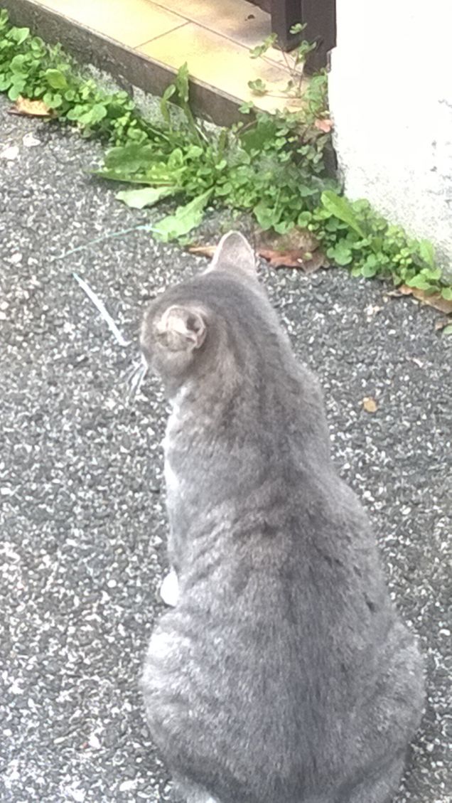 Non voltarmi le spalle.