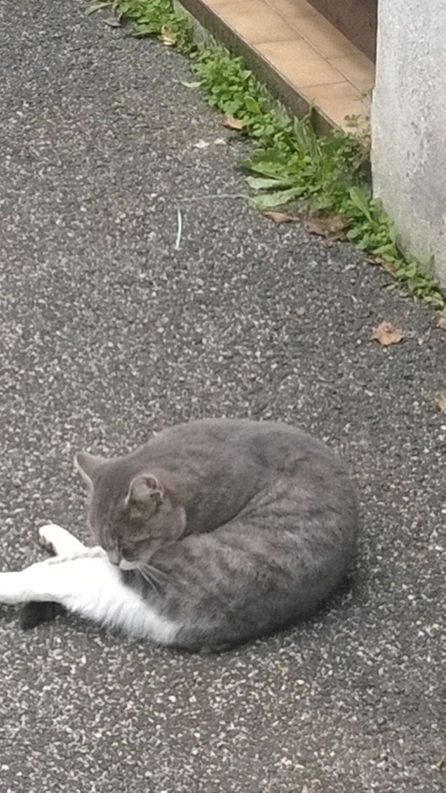 L'igiene è importante