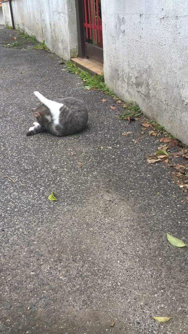 Le posizioni più strane