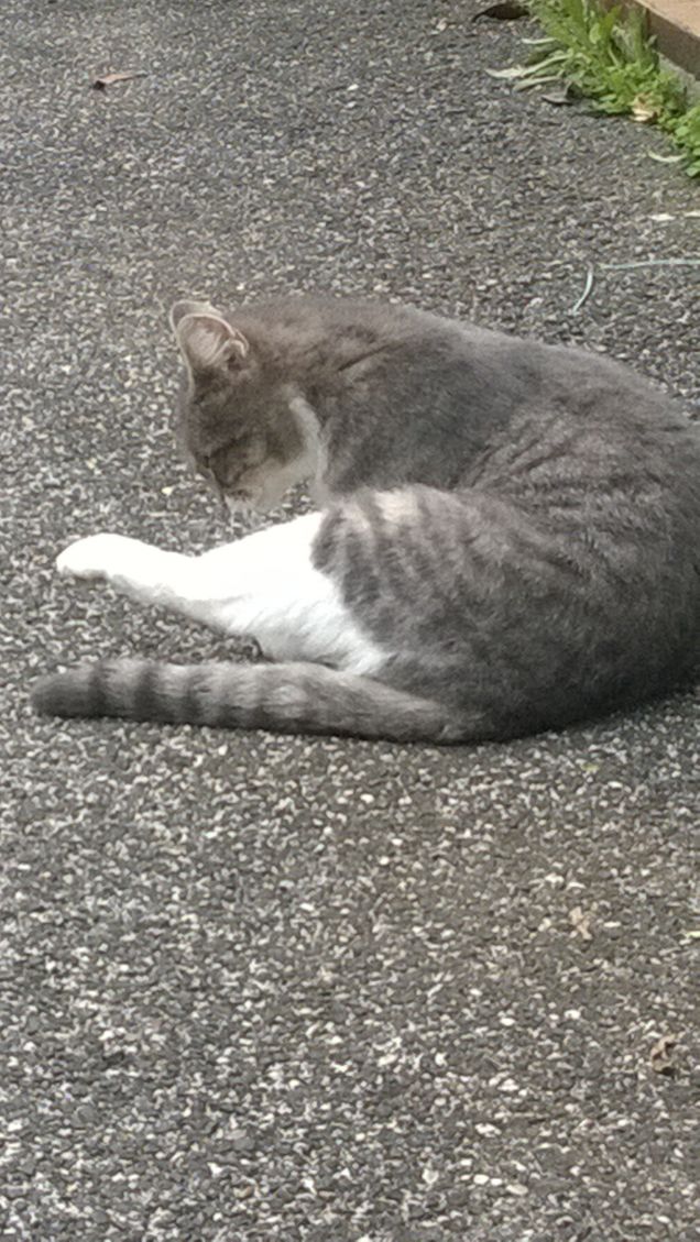 Vogliamo cambiare posizione.