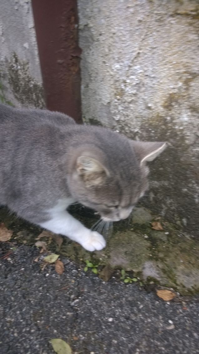 Amore disinteressato, che travalica le barriere del dare e dell’avere.