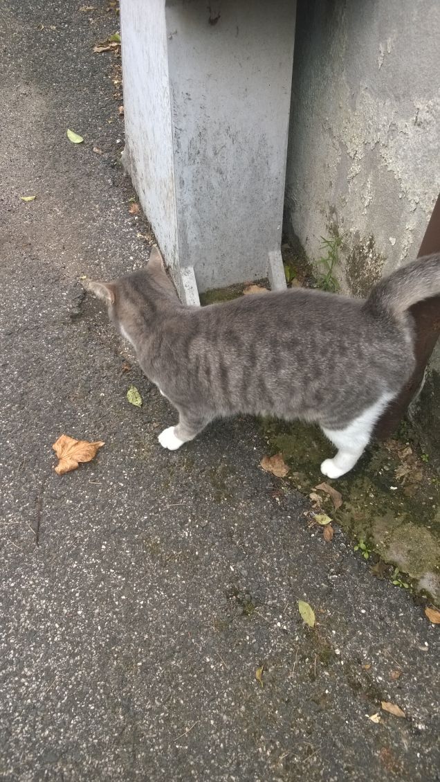 L'appuntamento è fisso.