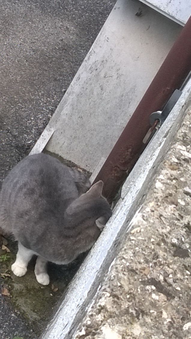 Da quando c'è lei il mio umore è migliorato.