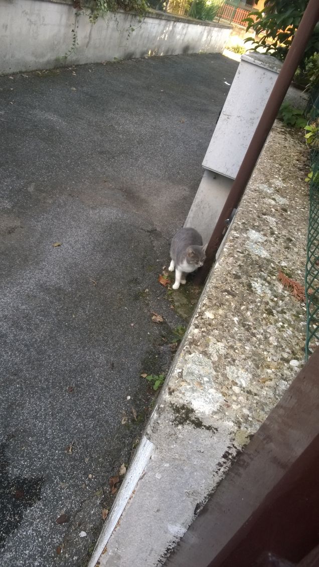 Vorrei tenerla al caldo insieme a noi.