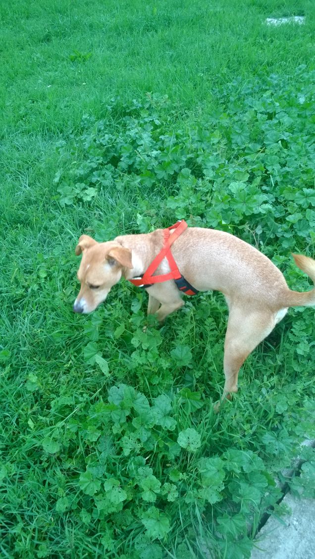 C'è un grande prato verde dove nascono speranze... e io sono li.