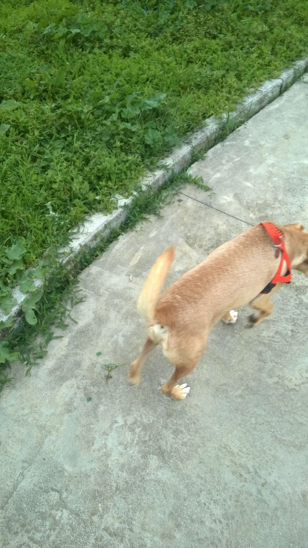 Din don dan eccoci qua