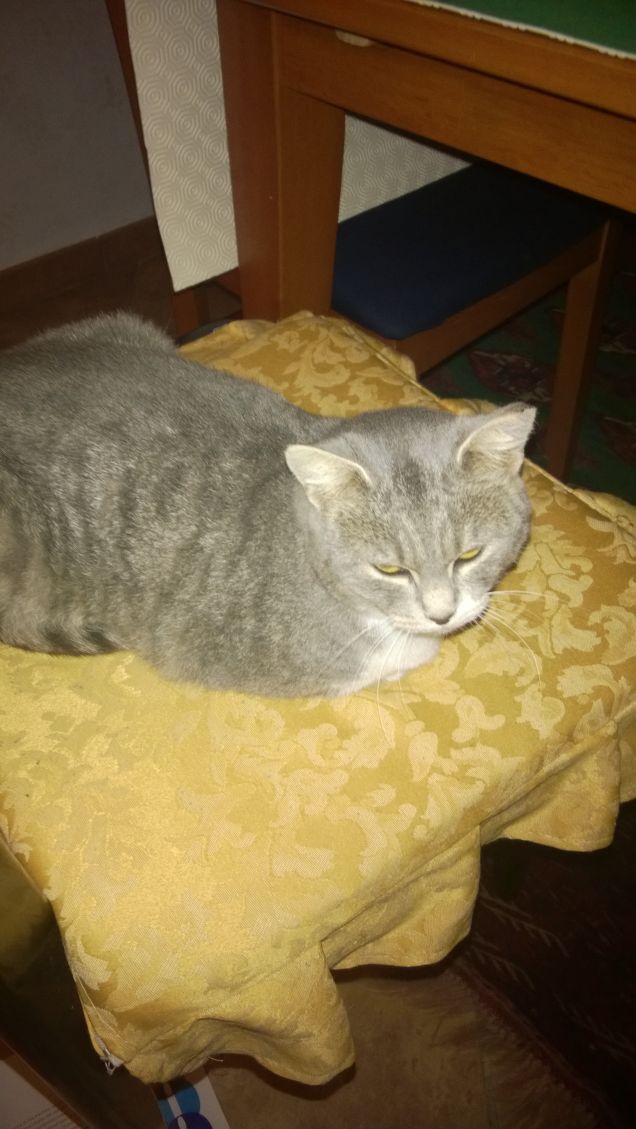 Dalla Russia con amore