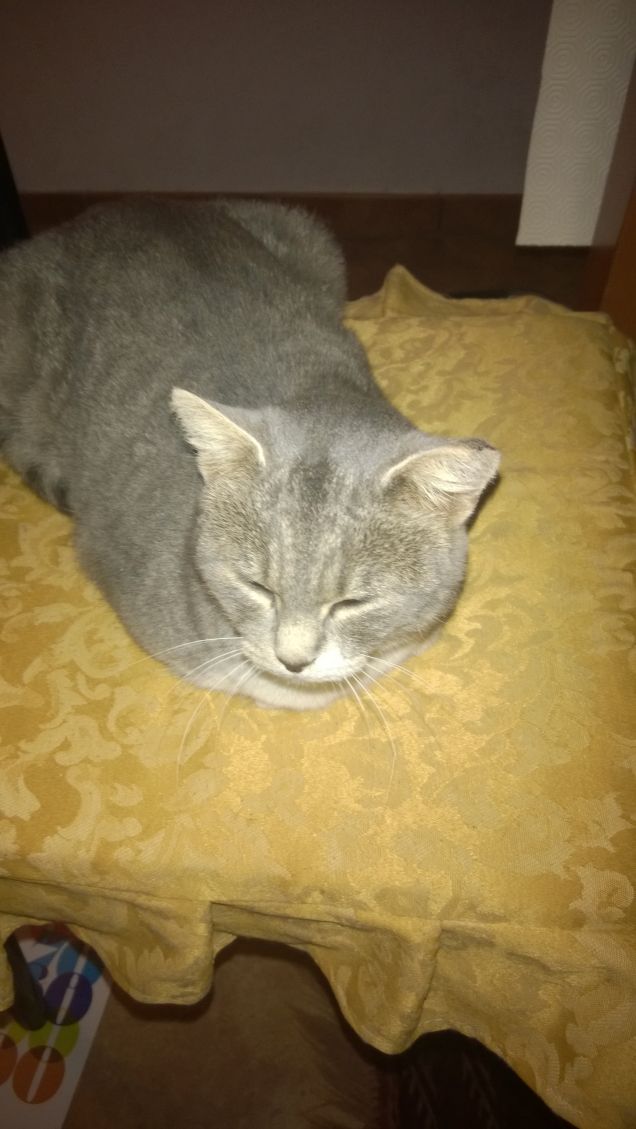 30 milioni di km dalla terra