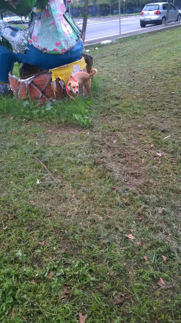 Giochi di carta pesta.