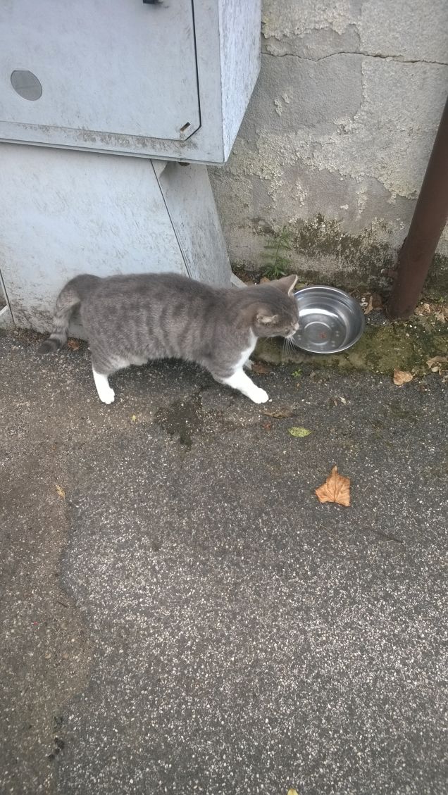 In via di guarigione.