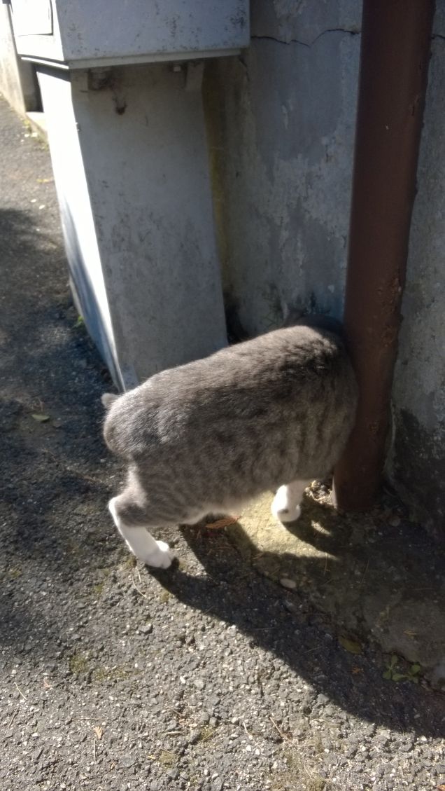 Lui merita di essere sempre al centro delle nostre attenzioni. E non ha tutti i torti.