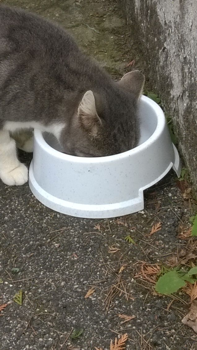 Grazie degli insegnamenti che mi hai trasmesso.