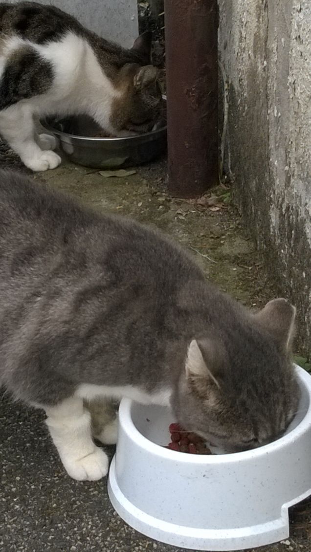 Della tua filosofia di vita ne ho fatto tesoro.