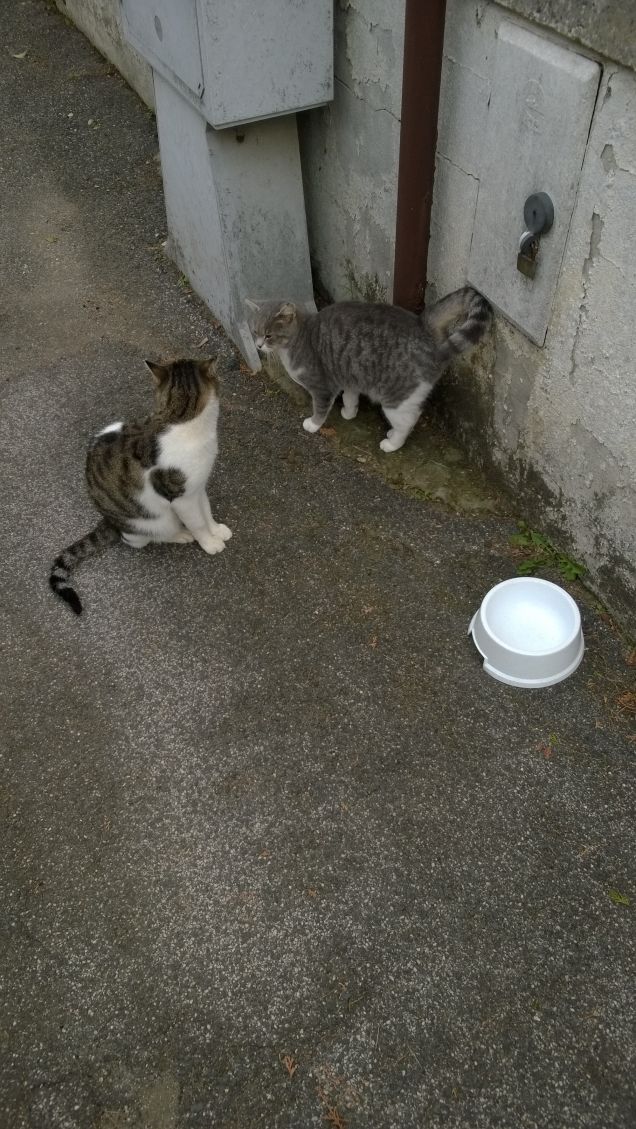 un sognatore la cui filosofia è “Dormi e lascia dormire.