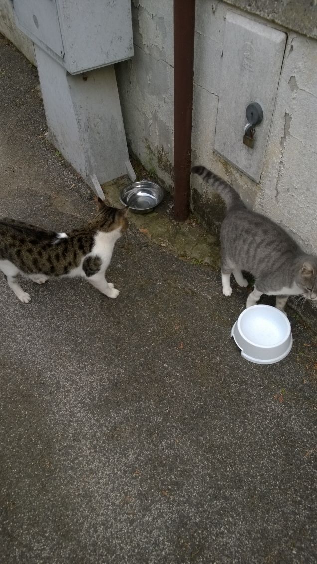 Amici della scienza e della voluttà