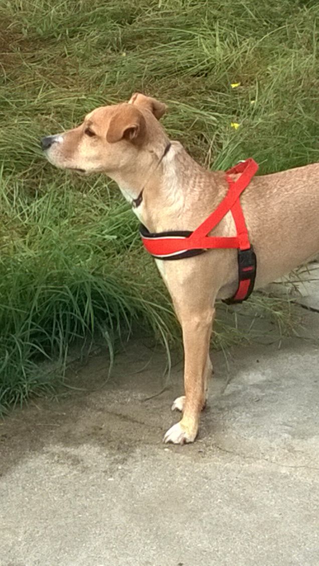 Ciao a tutti da Lucky