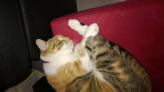 Sono un pò stanca ho giocato troppo.