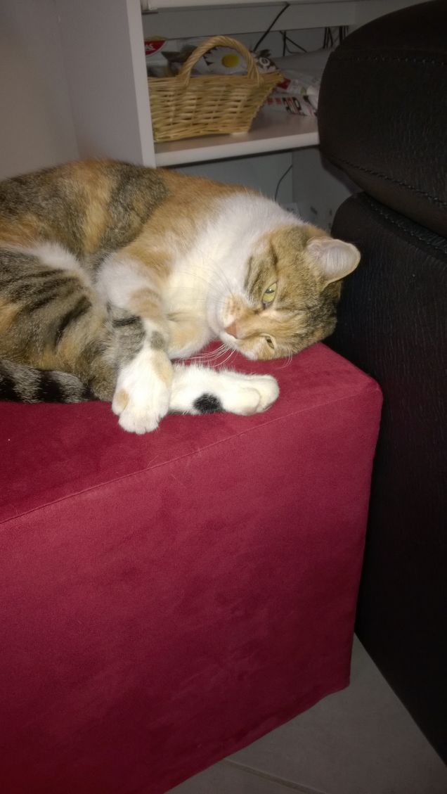 Adesso dormo un pochino.