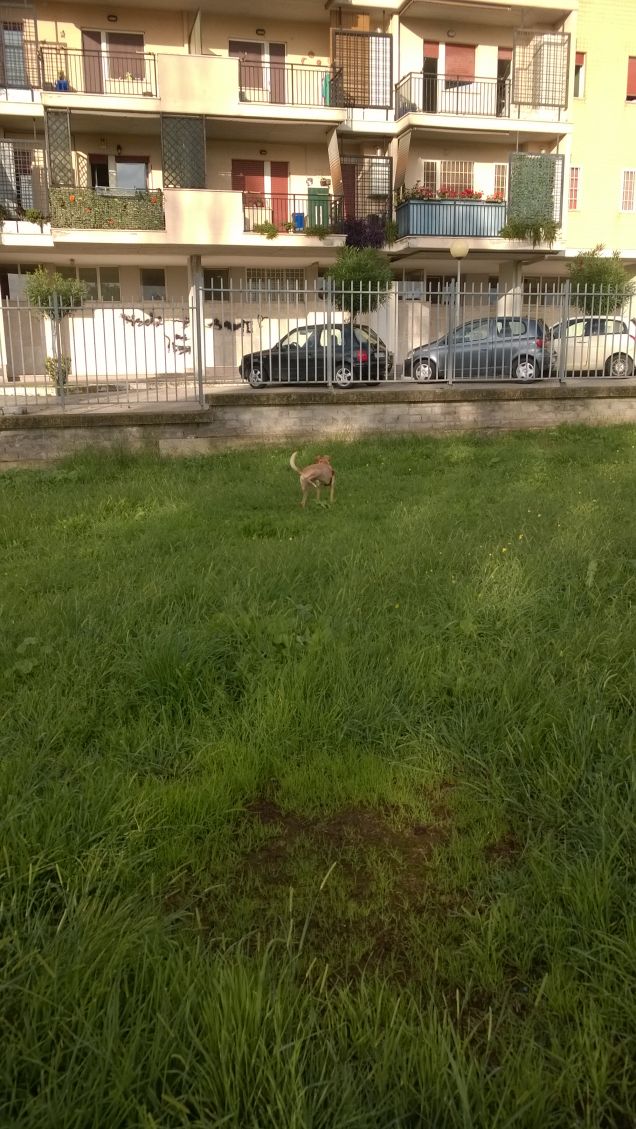 Quel puntino laggiù sono io.