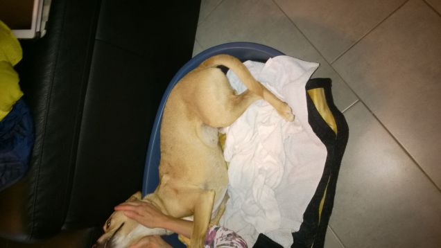 Eccoci appena tornati dal parco.