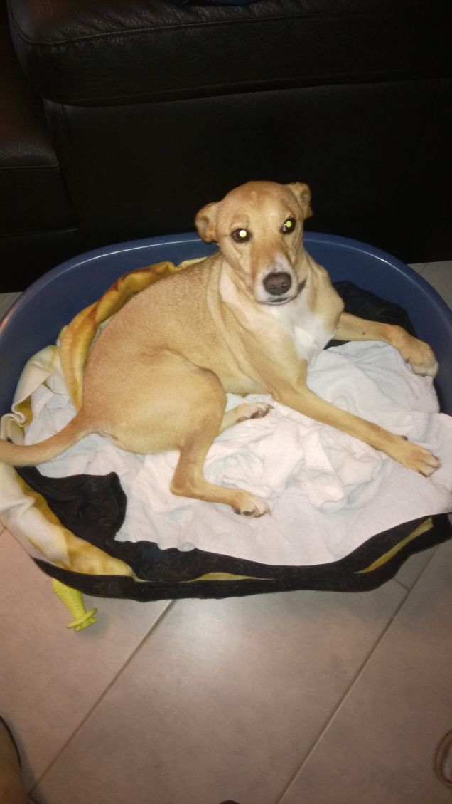 Finalmente mi godo un pò di riposo.