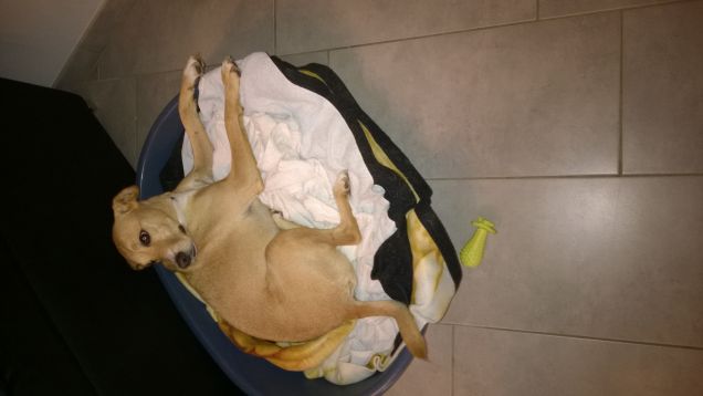 Oggi piove e allora tante ninne.