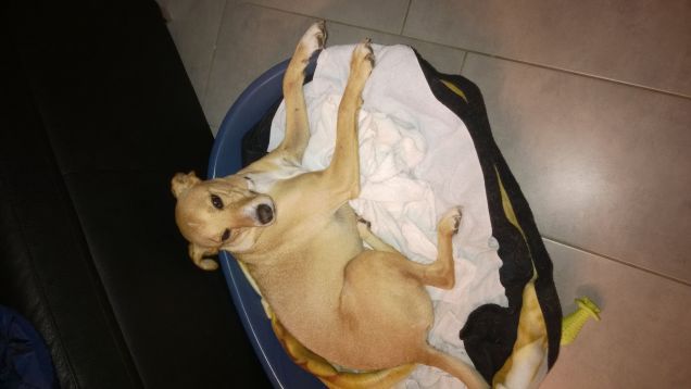 Ormai si esce domattina