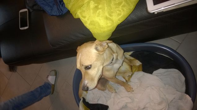 In fondo sono un timidone.