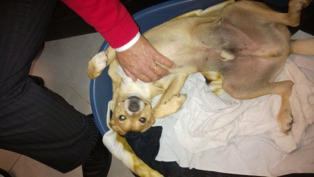 Finalmente un bel massaggio