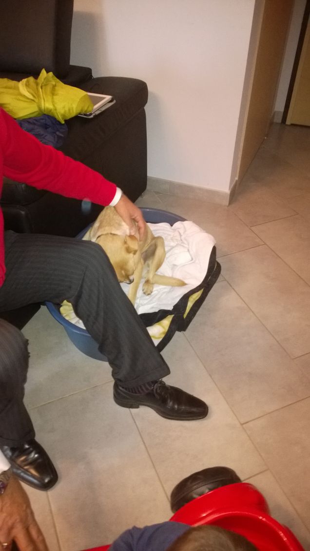 Qualche carezza per Lucky