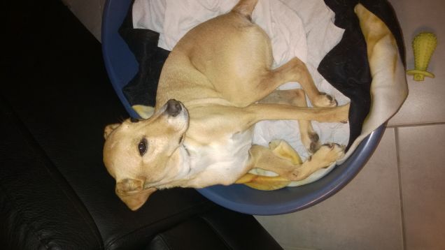 Il mio posto al caldo