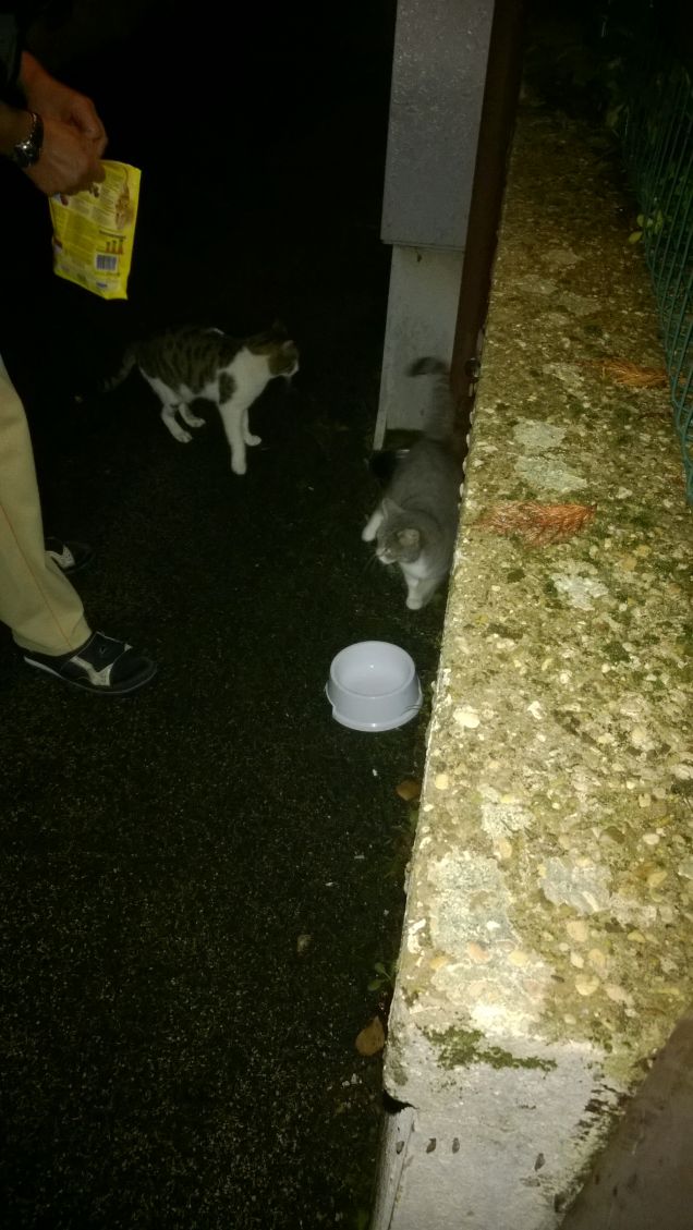 Brrrrrrrr che freddo.