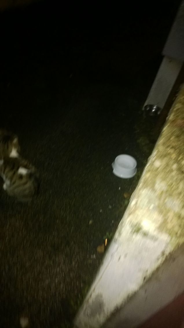 L'inverno è alle porte.