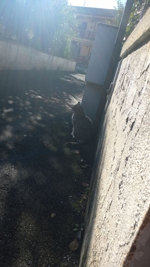 Un raggio di sole per te