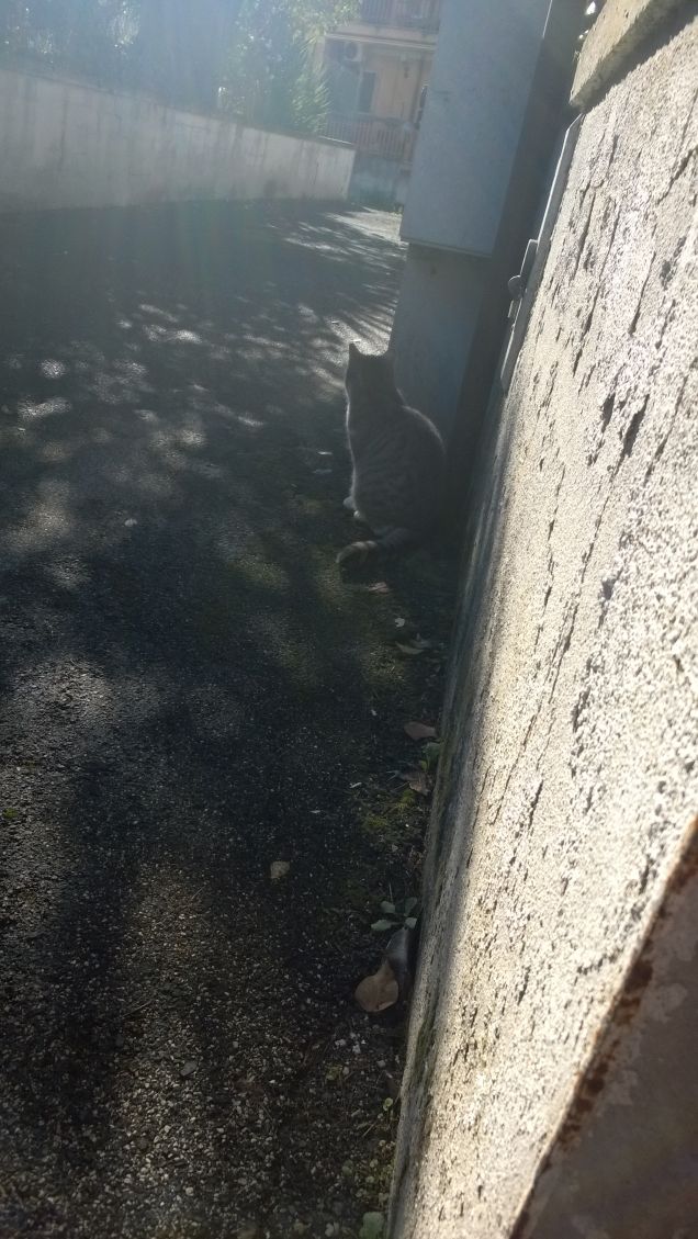 Una bella giornata di sole.