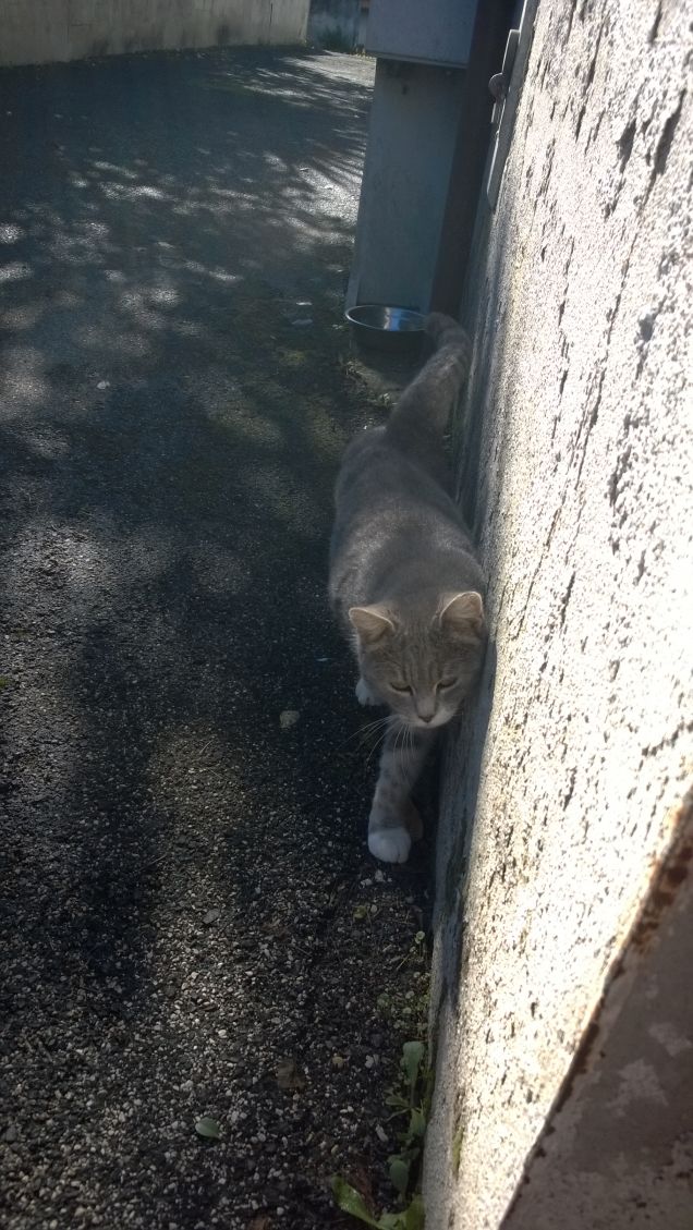 Questo sarà un freddo inverno.