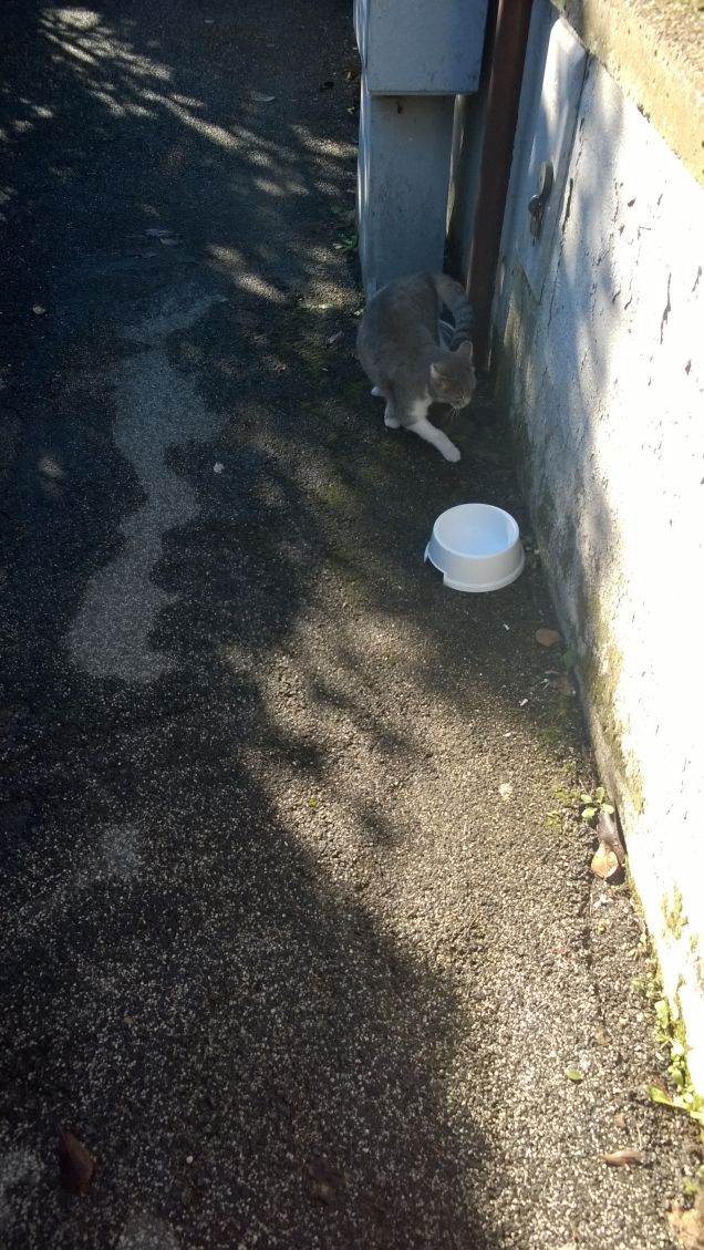 E' ora di far colazione