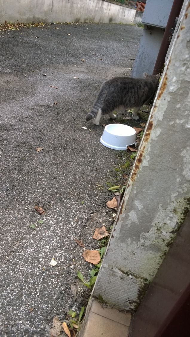 Fa finta di andare via.